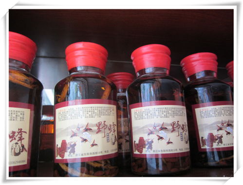 蘭溪嘉行養(yǎng)生酒 精品酒類批發(fā)優(yōu)選，輔仁路優(yōu)質(zhì)供應(yīng)商