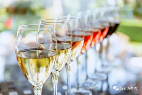 酒類批發(fā)新路徑 B2B電商平臺(tái)月銷近百萬(wàn)的葡萄酒進(jìn)貨渠道